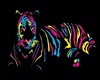 Multicolored Tiger