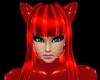 Red Kitten Abice
