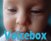 vb) Indo Baby VoiceBox