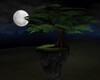 FA:♦ Sereneity Moon