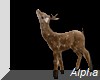 AO~Winter deer popup