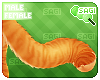 . Ginger | tail