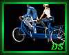 *Couple Bike  /Blue