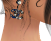 cc ear 12