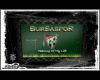 bursaspor picture