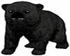 Black  Pet Bear