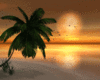 Sunset in Heart Island