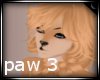 -CINN- Paw 3