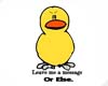 Message Duckie