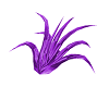 purpleicetufts(M)