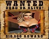 Old West Wanted Poster 5