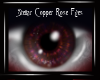 Stellar Copper Rose M