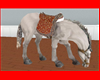 Animated Indian Pony 2