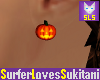 (SLS) Small Pumpkin