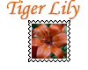 Orange Tigerlily stamp