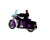 DL}Purple Child Bike 40%