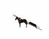 cheval