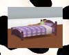 Lavander Cuddle Bed