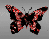 Hidden red butterfly