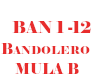 Mula B Bandolero