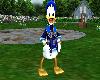~L~ Donald Duck Costume
