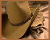 Just a Cowboy Hat