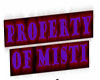 RH Property of Misti