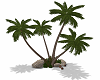 Ocean Whispers Palm Tree