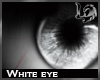 [LD] White Eyes