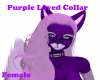 PurpleLovedCollarF