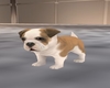 animated puppy