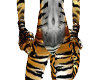 tiger stripe arm F warme