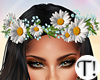 T! White Flower Crown