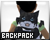 [B] Backpack Kitty