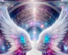 Angel wings 27 bg