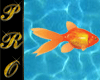romance fish 25