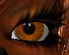 Copper Flame Fox Eyes