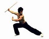 Kungfu Fighting
