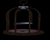club bird cage swing