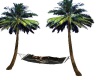 Pirat palm bed
