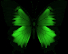 Flutterbyes