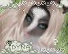 Silver Rain - Zenia
