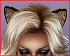 ANIMTED Cats Ears