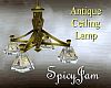 Antq Ceiling Lamp StnGls