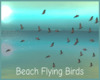 *Beach Flying Birds