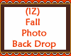 Fall Photo Back Drop