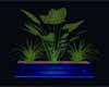 Aari Glow Plant 1