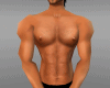 Muscles Male Avatar