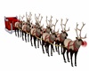 SANTAS SLEIGH