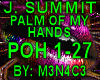 Summit - Palm of my hand